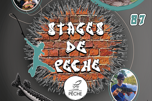 Stages de pêche 2024