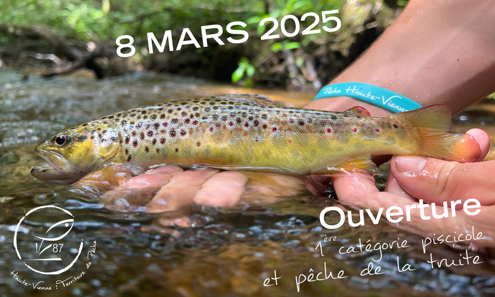 Soyez prêt pour le samedi 8 mars 2025 !