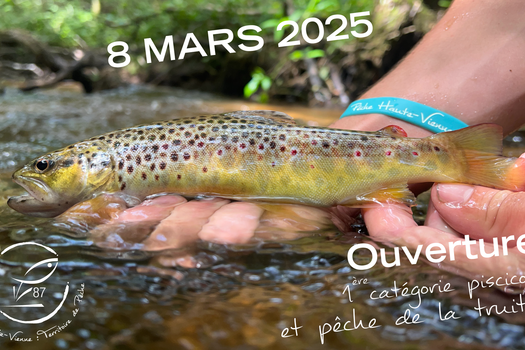 Soyez prêt pour le samedi 8 mars 2025 !