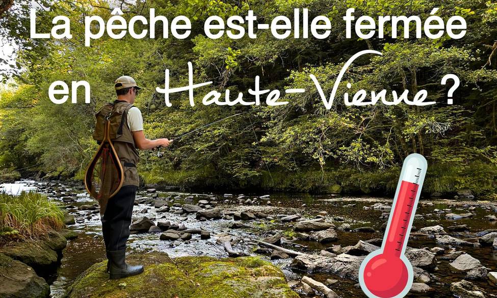 La question que vous/nous posez chaque jour :