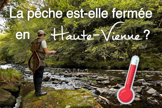 La question que vous/nous posez chaque jour :