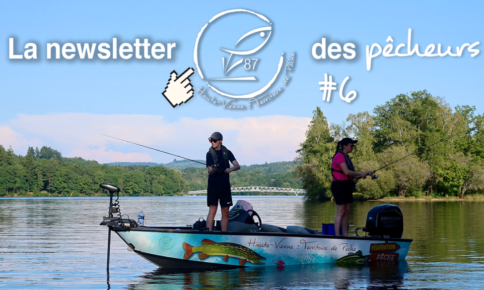 La newsletter des pêcheurs #6