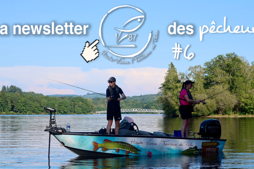 La newsletter des pêcheurs #6