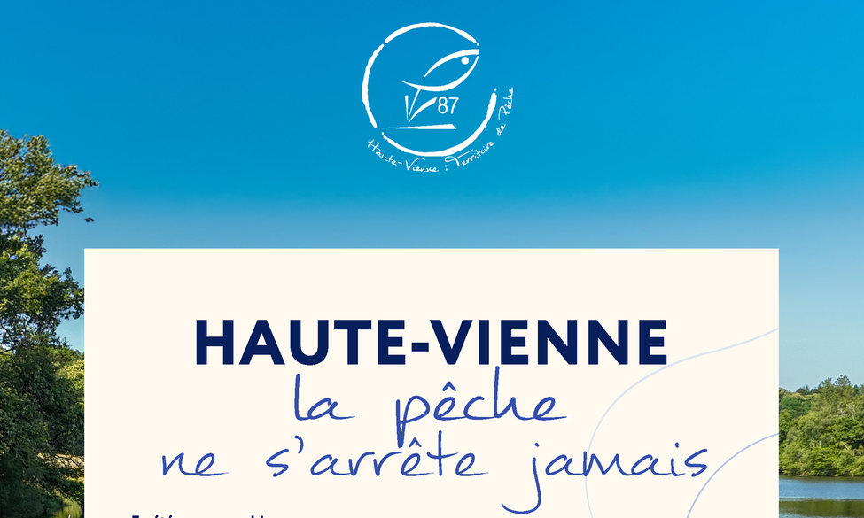 La newsletter des pêcheurs #3