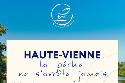 La newsletter des pêcheurs #3