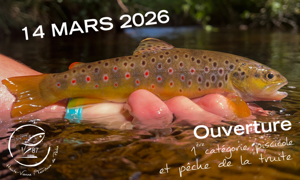 Ouverture de la 1ère catégorie et de la pêche de la truite
