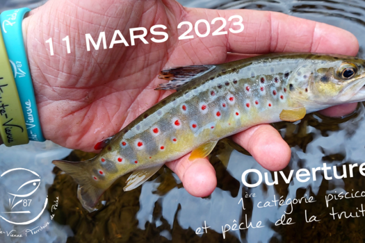 Ouverture de la 1ère catégorie et de la pêche de la truite