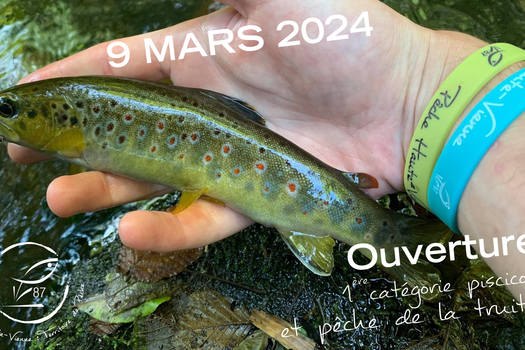 Ouverture de la 1ère catégorie et de la pêche de la truite