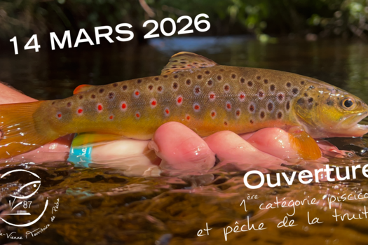 Ouverture de la 1ère catégorie et de la pêche de la truite