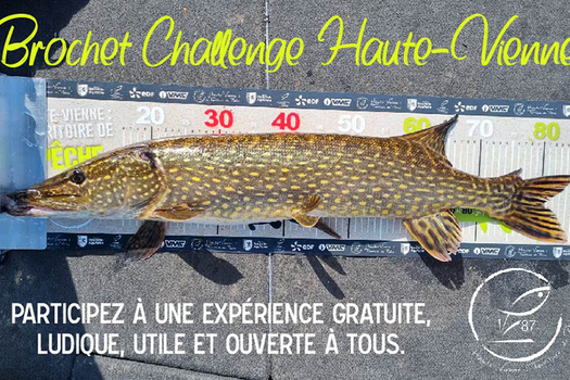 Brochet Challenge Haute-Vienne