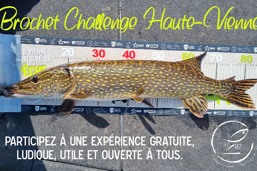Brochet Challenge Haute-Vienne - saison 2024