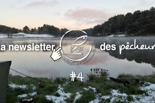 La newsletter des pêcheurs #4
