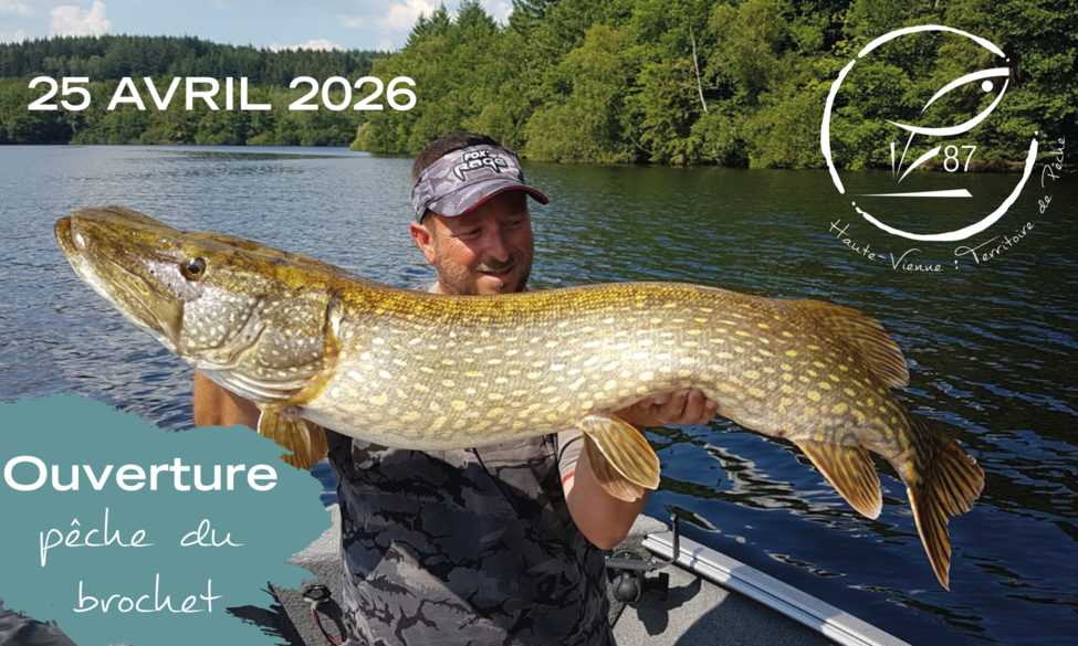 Les retrouvailles avec le brochet ...