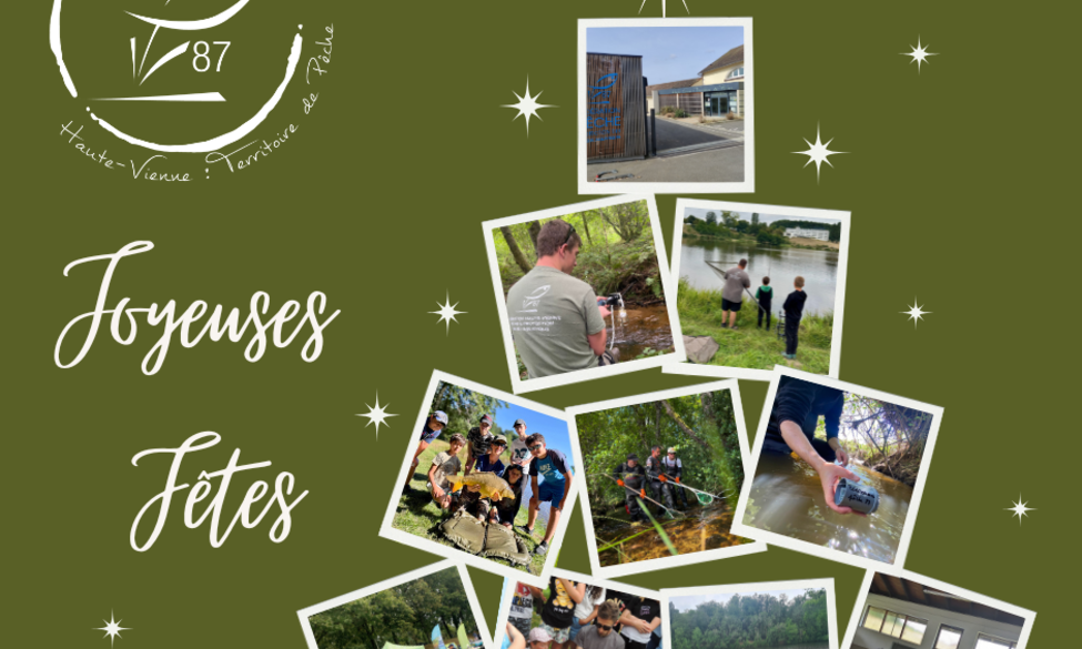 Une belle année 2025 se termine