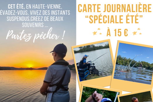 Carte journalière spéciale été 