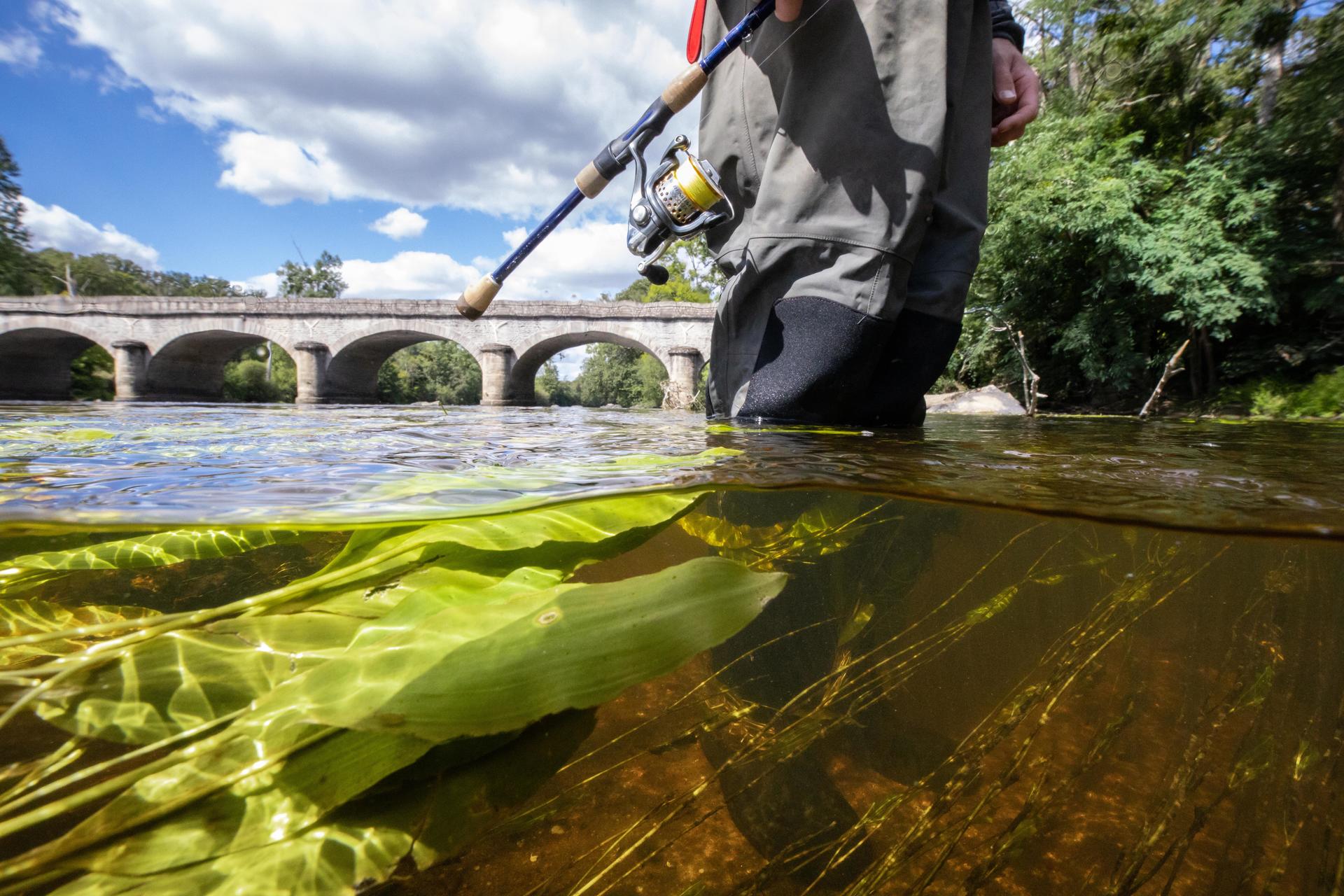 Nouveautés 2023 - Fédération de la pêche de la Haute-Vienne