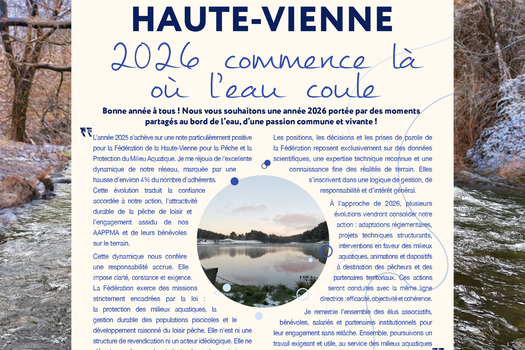 La newsletter des pêcheurs #4