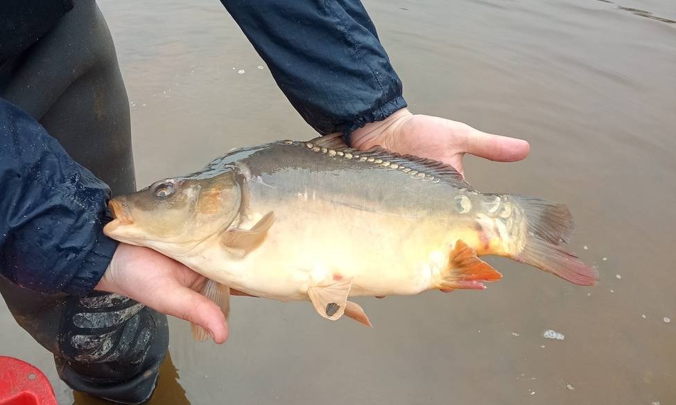 Informations sur les parcours spécialisés