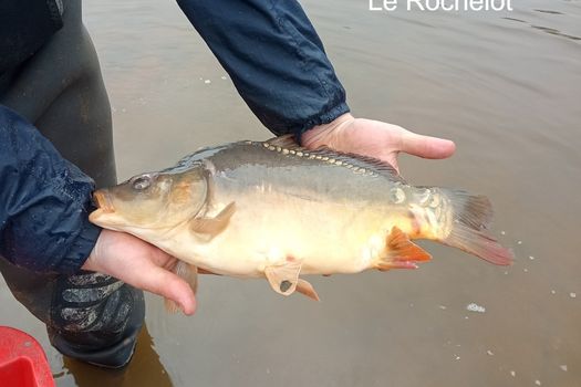 Informations sur les parcours spécialisés