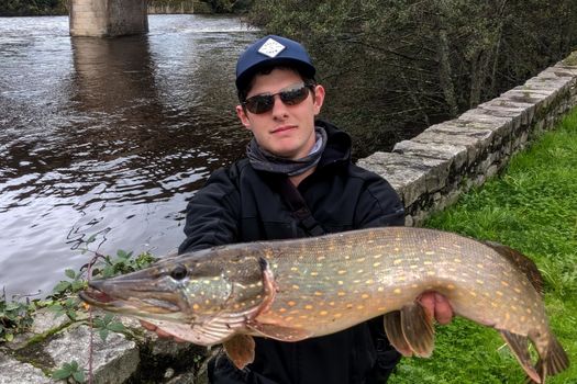 Dernier week-end pour pêcher le brochet 
