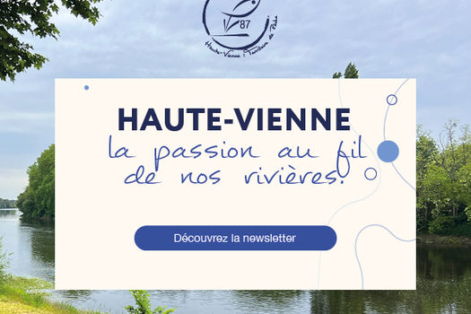 La newsletter des pêcheurs #2