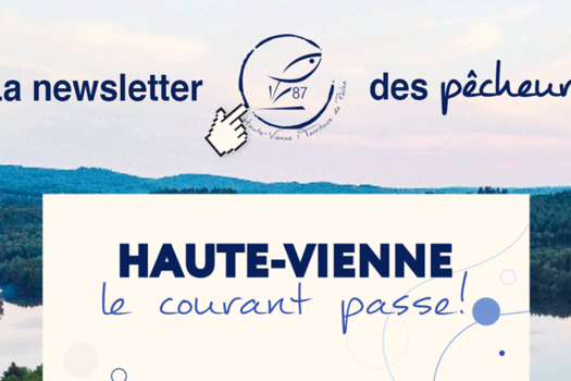 La newsletter des pêcheurs 
