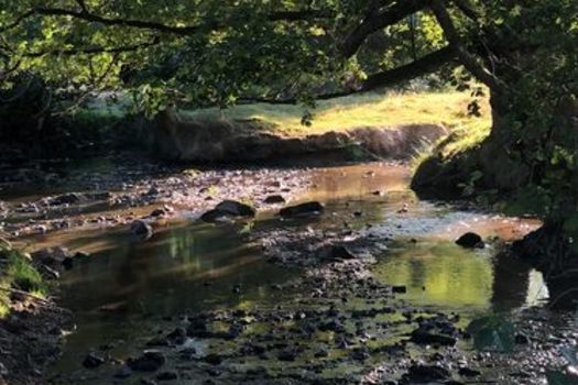 Situation hydrologique de département de la Haute-Vienne