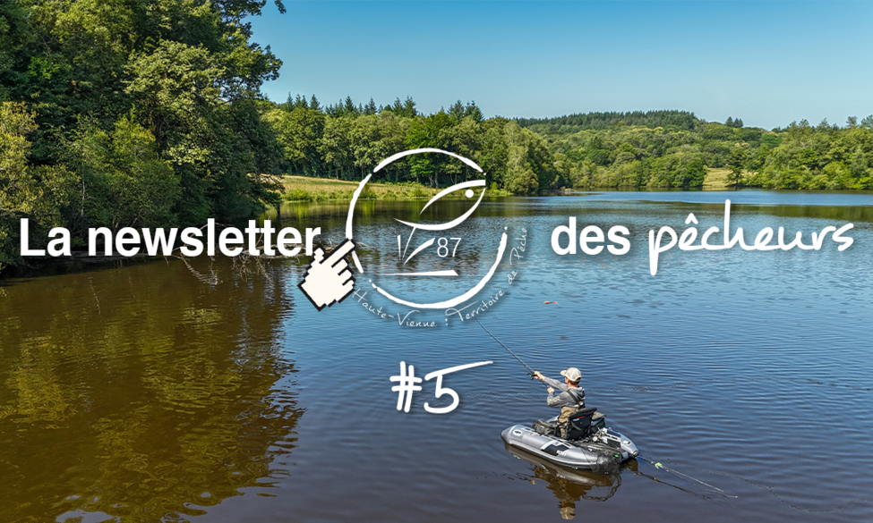 La newsletter des pêcheurs #5