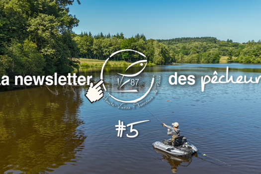 La newsletter des pêcheurs #5
