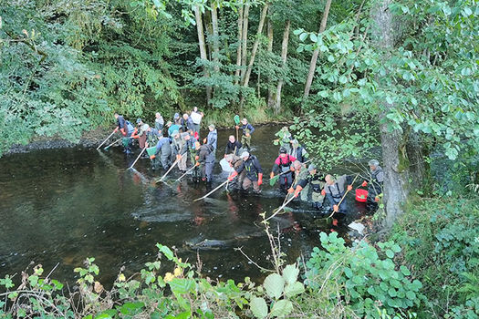 Gestion et protection du milieu aquatique